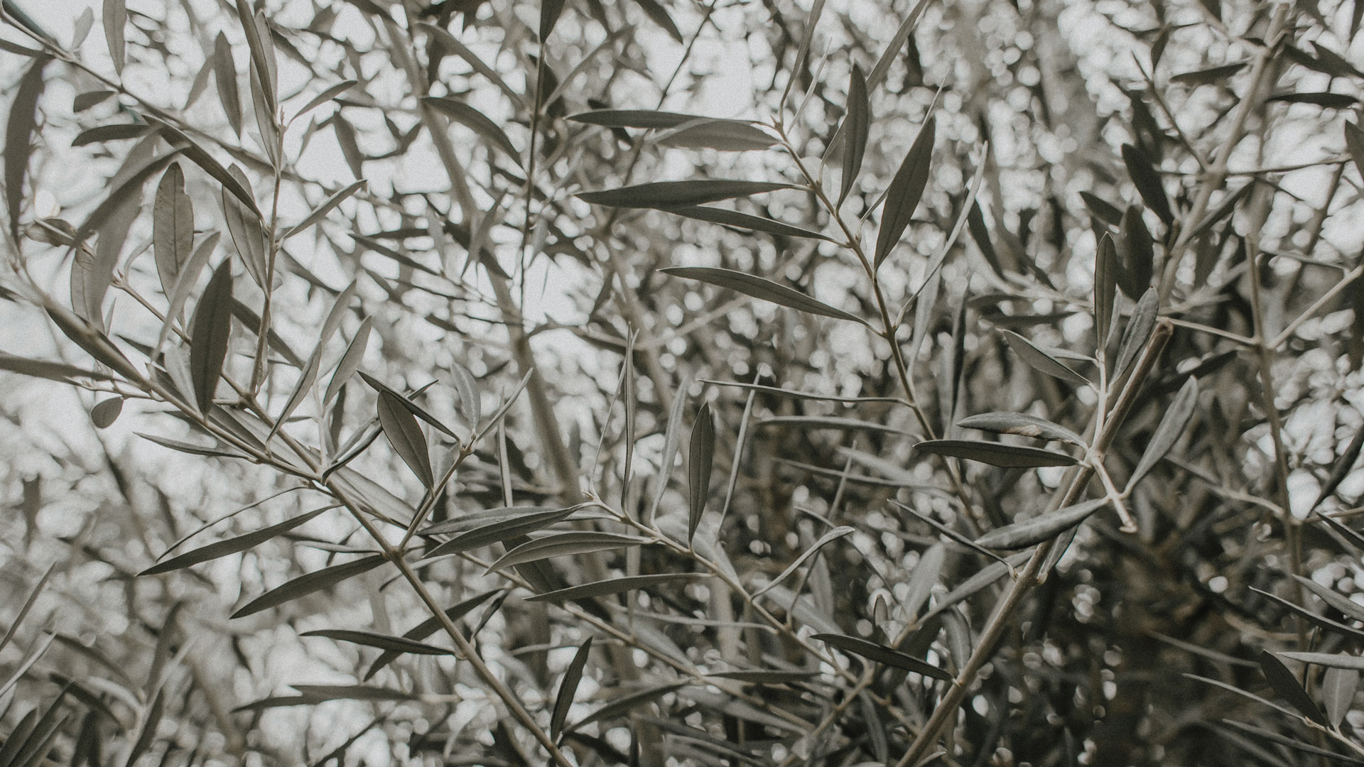 1920×1080-Ie-pack-Cover-08